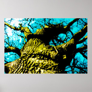 Poster Arbre