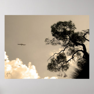 Poster arbre