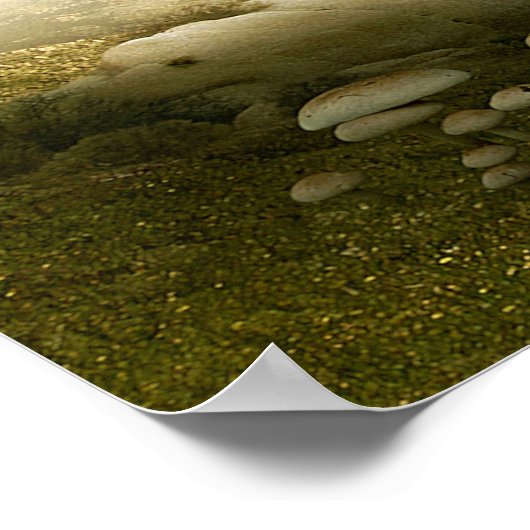 Poster Arbre... (Coin)