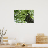 Poster Arbre (Cuisine)