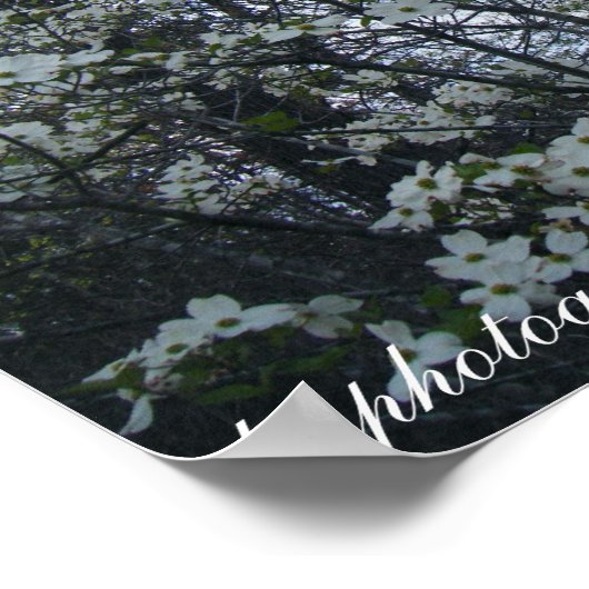 Poster arbre à bois (Coin)