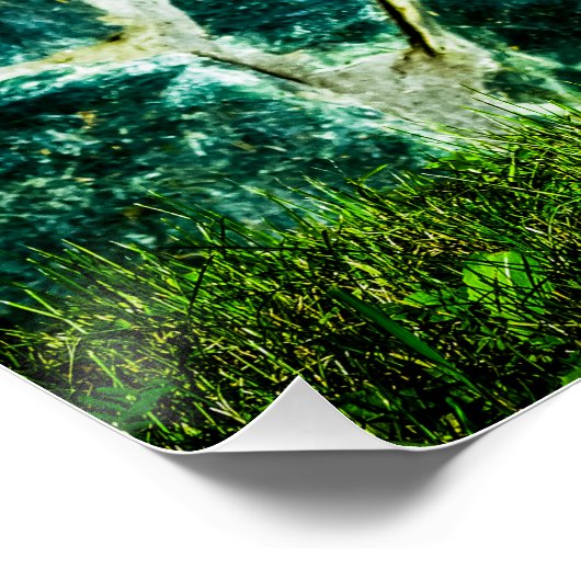 Poster Arbre à châtaignier (Coin)