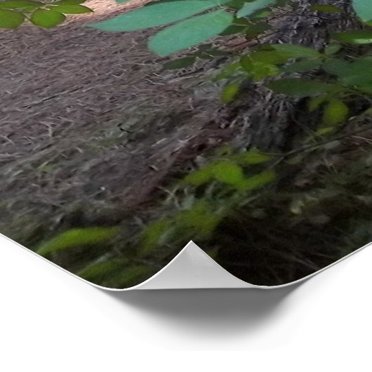 Poster Arbre à chiens (Coin)