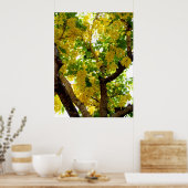 Poster Arbre à douche d'or (Cuisine)