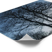 Poster Arbre à Dusk (Coin)