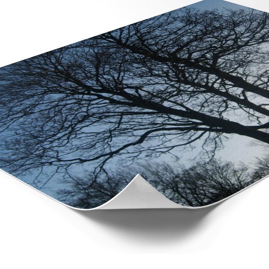 Poster Arbre à Dusk (Coin)