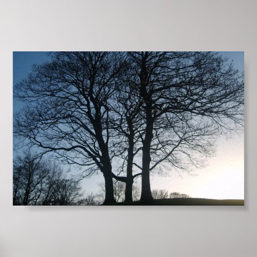Poster Arbre à Dusk (Devant)
