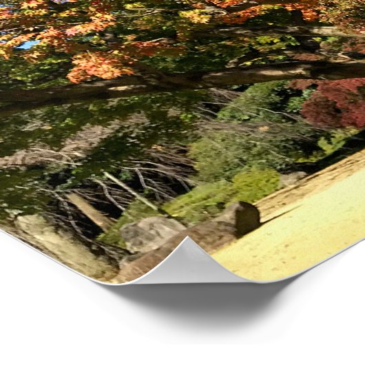 Poster Arbre à érable coloré (Coin)