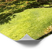 Poster Arbre à érable coloré en automne (Coin)