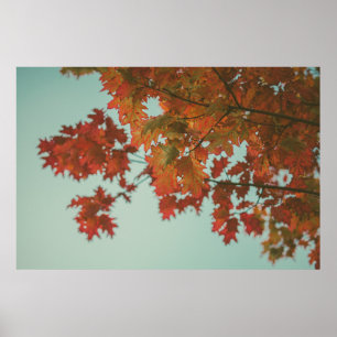 POSTER ARBRE À FEUILLES ROUGES