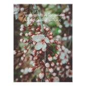 Poster Arbre à fleurs (Devant)