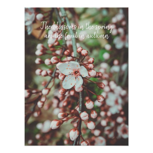Poster Arbre à fleurs (Devant)