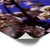 Poster Arbre à fleurs (Coin)