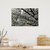 Poster Arbre à fleurs blanc (Cuisine)