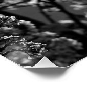 Poster Arbre à fleurs monochrome noir et blanc (Coin)