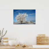 Poster Arbre à glace (Cuisine)