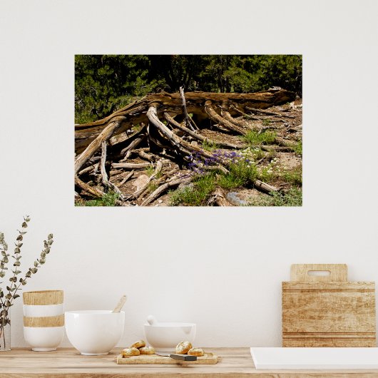 Poster Arbre à pin tombé (Cuisine)