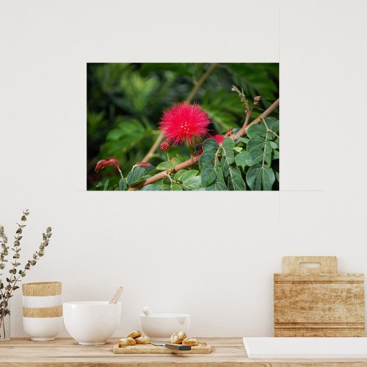 Poster Arbre à raser (Cuisine)