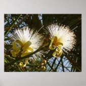 Poster Arbre à raser (Devant)