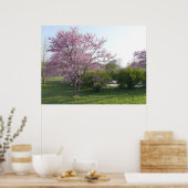 Poster Arbre à Redbud - El Dorado Lake Kansas (Cuisine)