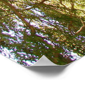 Poster Arbre à saules (Coin)