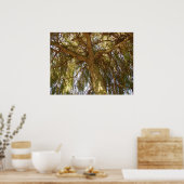 Poster Arbre à saules (Cuisine)