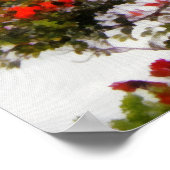 Poster Arbre à tulipes africaines. (Coin)