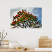 Poster Arbre à tulipes africaines. (Cuisine)