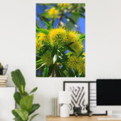 Poster Arbre à wattle jaune (Bureau à domicile)