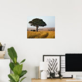 Poster Arbre acacia isolé dans les plaines herbeuses, Mas (Bureau à domicile)