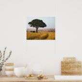 Poster Arbre acacia isolé dans les plaines herbeuses, Mas (Cuisine)