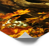 Poster Arbre ancien (Coin)