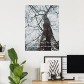 Poster Arbre ancien dans une forêt humide (Bureau à domicile)