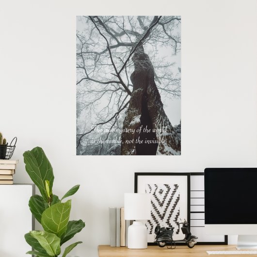 Poster Arbre ancien dans une forêt humide (Bureau à domicile)