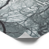 Poster Arbre ancien dans une forêt humide (Coin)