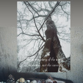 Poster Arbre ancien dans une forêt humide