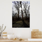 Poster Arbre ancien, Soleil d'hiver (Cuisine)