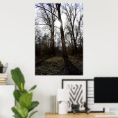 Poster Arbre ancien, Soleil d'hiver (Bureau à domicile)