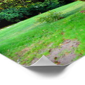 Poster Arbre Apple (Coin)