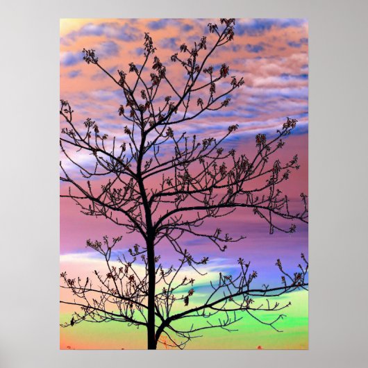 Poster Arbre arc-en-ciel Sky Barren (Devant)