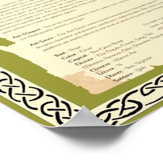 POSTER ARBRE ASH CELTIQUE SACRÉ (Coin)