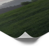 Poster Arbre au lever du soleil (Coin)