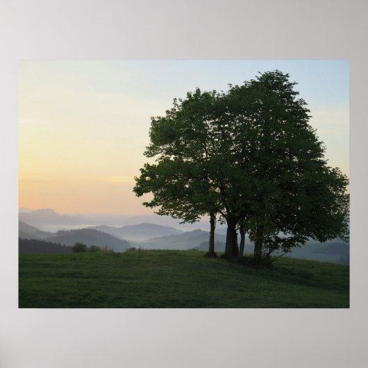 Poster Arbre au lever du soleil (Devant)