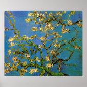 Poster Arbre aux amandes en fleurs par Vincent van Gogh (Devant)