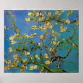 Poster Arbre aux amandes en fleurs par Vincent van Gogh (Devant)