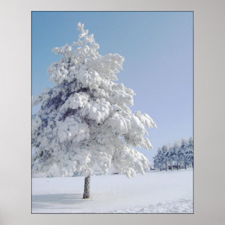 Poster Arbre bissé à la neige