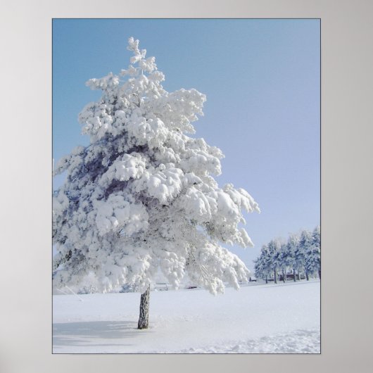 Poster Arbre bissé à la neige (Devant)