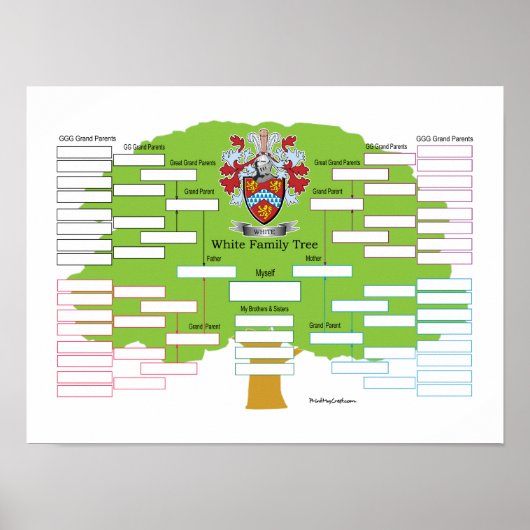 Poster Arbre blanc (Devant)