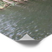 Poster Arbre blanc et paysage fluvial Imprimer (Coin)