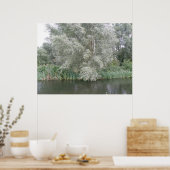 Poster Arbre blanc et paysage fluvial Imprimer (Cuisine)